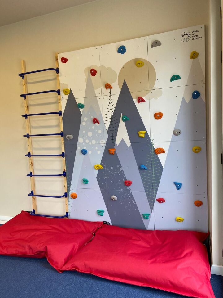 BAUMFEE DAĞ MODELLİ TIRMANMA SETİ [Tırmanma Demiri 180cm*240cm ve Tırmanma Duvarı ]