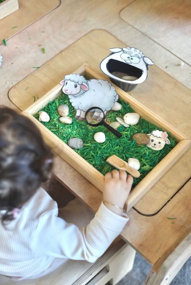 BAUMFEE Montessori Ahşap Sunum Tepsisi 20×30 cm – Kişiye Özel
